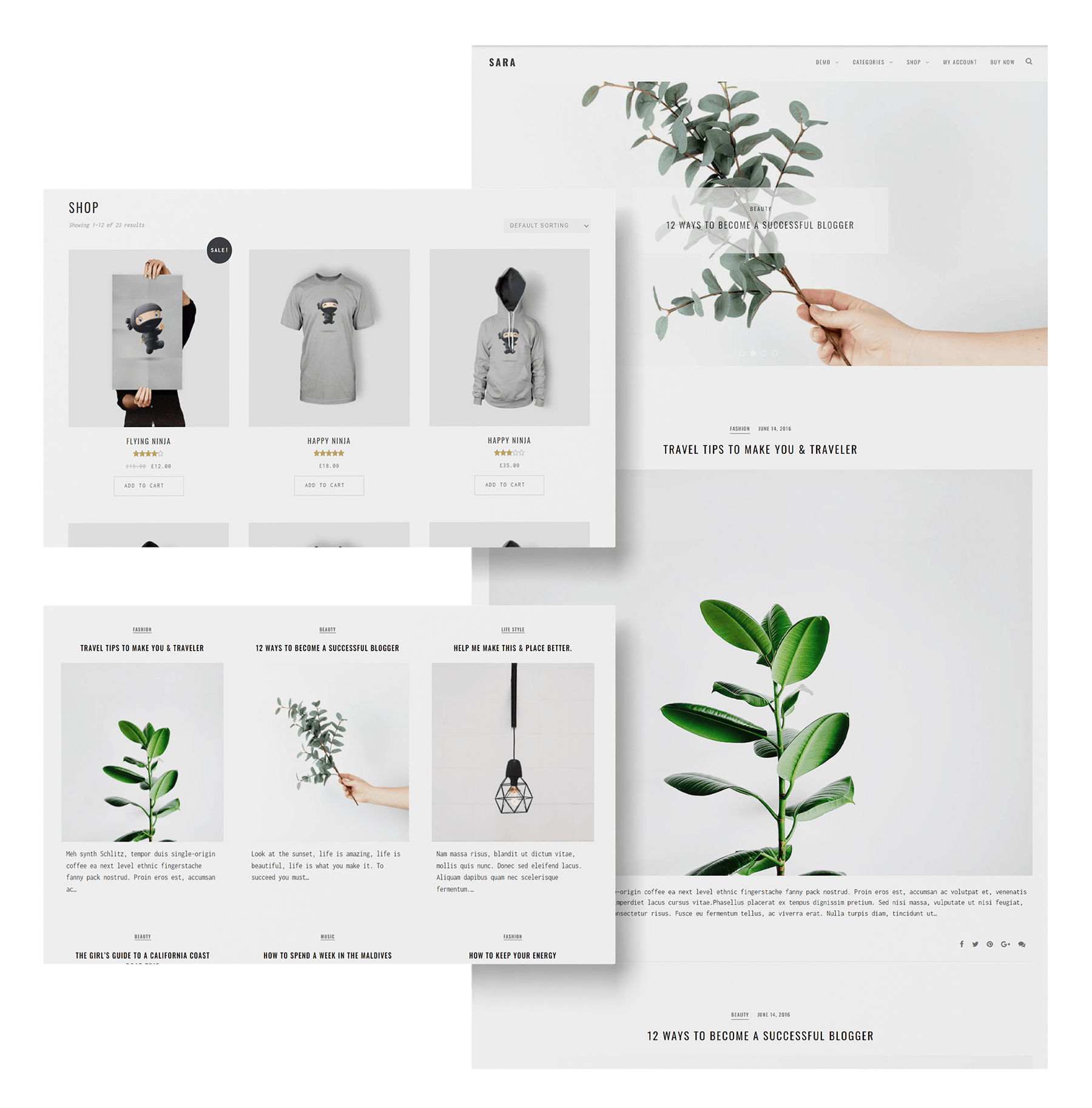 Sara – pretty clean and simple WordPress theme – ZThemes Studio